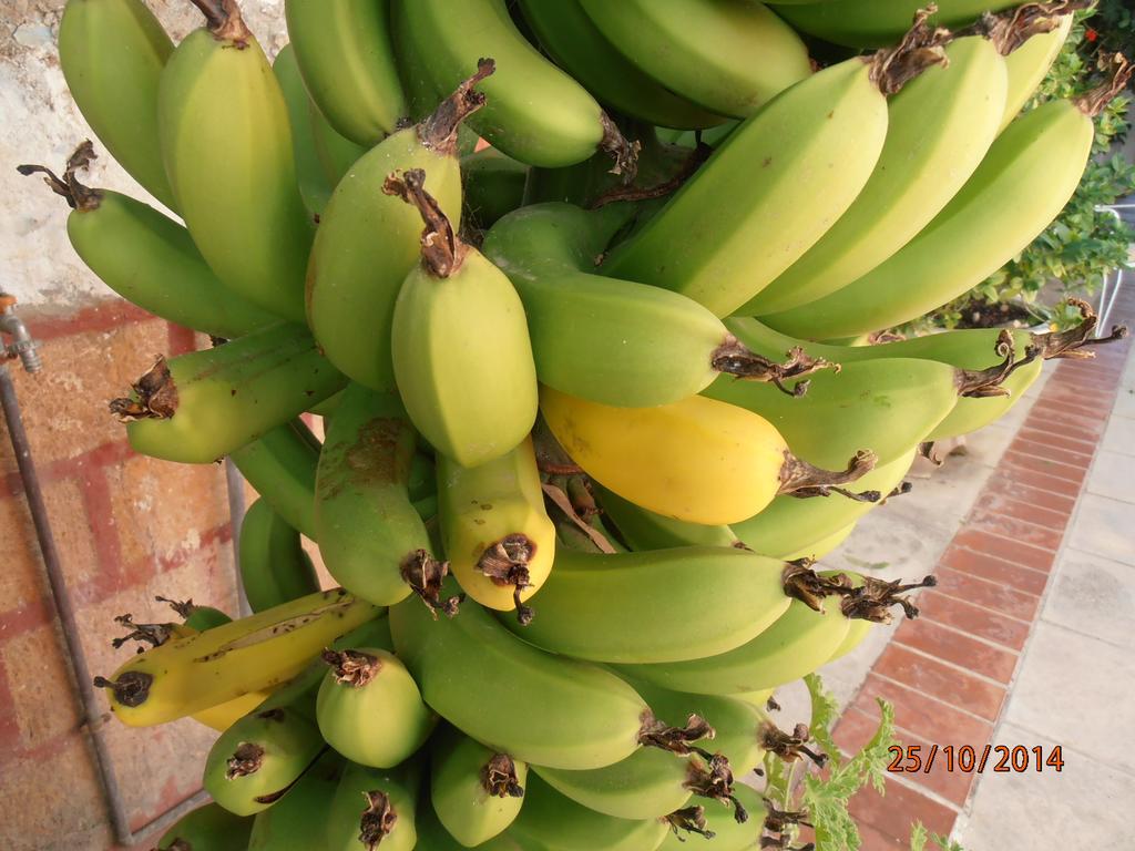 Diana Rooms خانيا المظهر الخارجي الصورة
