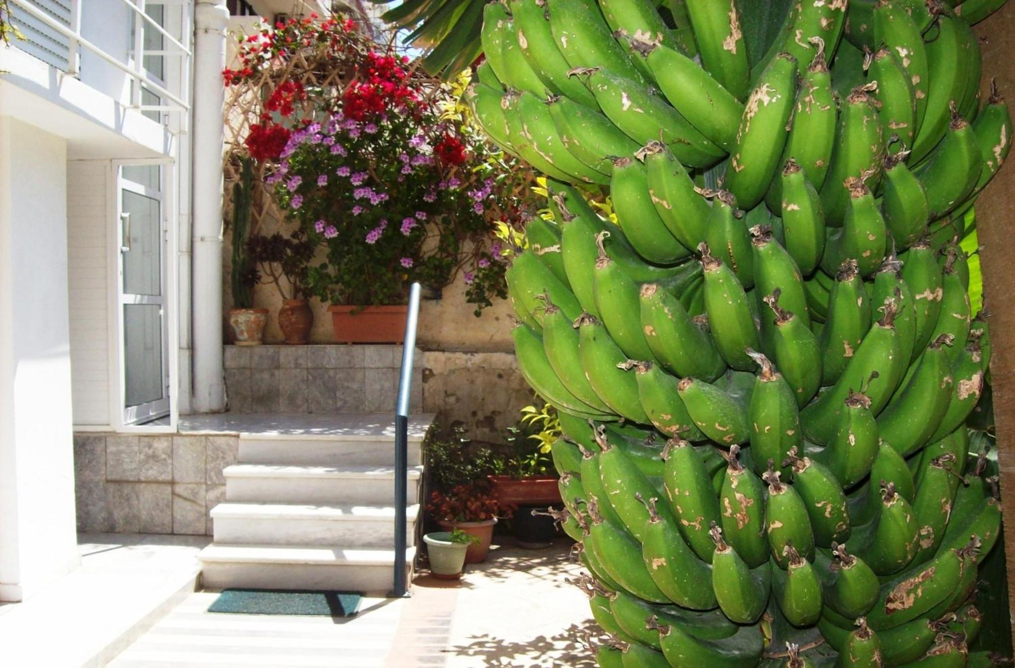 Diana Rooms خانيا المظهر الخارجي الصورة